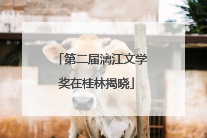 第二届漓江文学奖在桂林揭晓