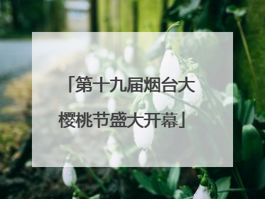 第十九届烟台大樱桃节盛大开幕