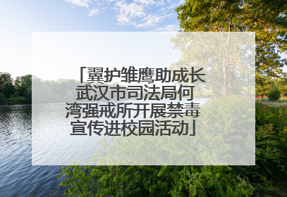 翼护雏鹰助成长 武汉市司法局何湾强戒所开展禁毒宣传进校园活动