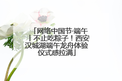 网络中国节·端午丨不止吃粽子！西安汉城湖端午龙舟体验仪式感拉满