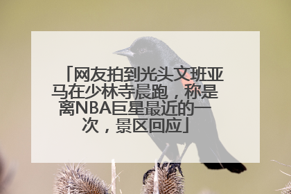 网友拍到光头文班亚马在少林寺晨跑，称是离NBA巨星最近的一次，景区回应