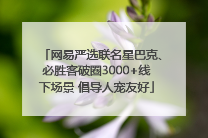 网易严选联名星巴克、必胜客破圈3000+线下场景 倡导人宠友好