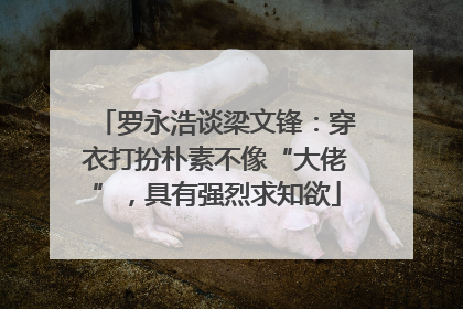 罗永浩谈梁文锋：穿衣打扮朴素不像“大佬”，具有强烈求知欲