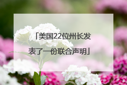 美国22位州长发表了一份联合声明