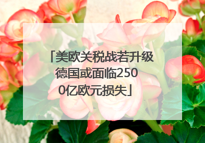 美欧关税战若升级 德国或面临2500亿欧元损失