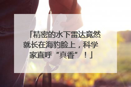 精密的水下雷达竟然就长在海豹脸上，科学家直呼“真香”！