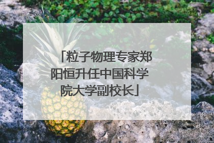 粒子物理专家郑阳恒升任中国科学院大学副校长