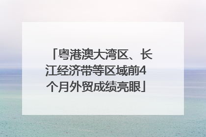 粤港澳大湾区、长江经济带等区域前4个月外贸成绩亮眼