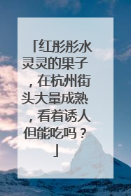 红彤彤水灵灵的果子，在杭州街头大量成熟，看着诱人但能吃吗？