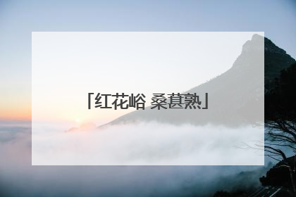 红花峪 桑葚熟