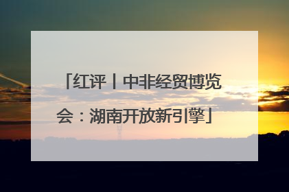 红评丨中非经贸博览会：湖南开放新引擎