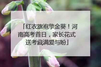 红衣旗袍擎金葵！河南高考首日，家长花式送考藏满爱与盼