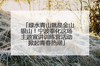 绿水青山就是金山银山！宁波奉化这场主题宣讲训练营活动掀起青春热潮