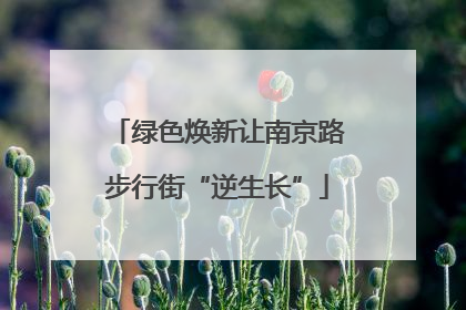 绿色焕新让南京路步行街“逆生长”