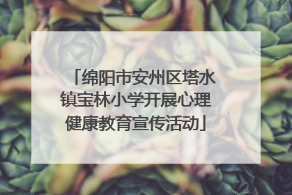 绵阳市安州区塔水镇宝林小学开展心理健康教育宣传活动