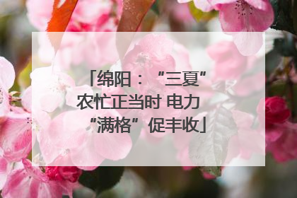 绵阳：“三夏”农忙正当时 电力“满格”促丰收