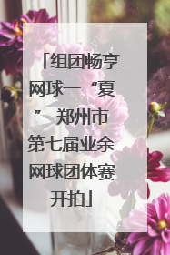 组团畅享网球一“夏” 郑州市第七届业余网球团体赛开拍
