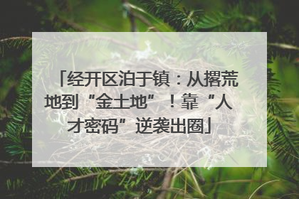 经开区泊于镇：从撂荒地到“金土地”！靠“人才密码”逆袭出圈