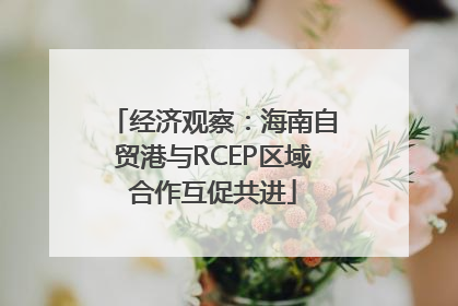 经济观察：海南自贸港与RCEP区域合作互促共进