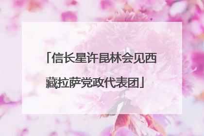 信长星许昆林会见西藏拉萨党政代表团