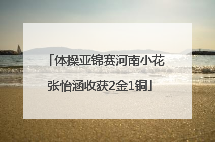 体操亚锦赛河南小花张怡涵收获2金1铜