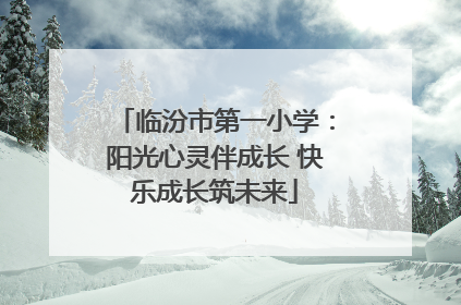 临汾市第一小学：阳光心灵伴成长 快乐成长筑未来