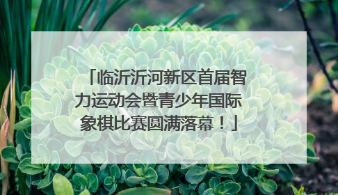 临沂沂河新区首届智力运动会暨青少年国际象棋比赛圆满落幕！