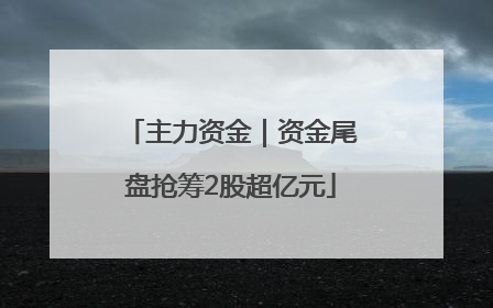 主力资金｜资金尾盘抢筹2股超亿元