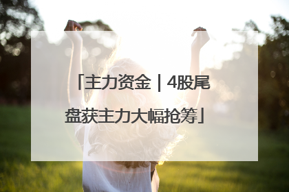主力资金｜4股尾盘获主力大幅抢筹