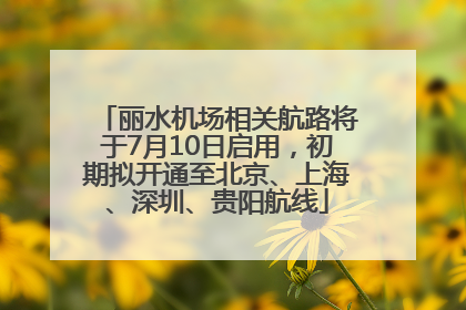 丽水机场相关航路将于7月10日启用，初期拟开通至北京、上海、深圳、贵阳航线