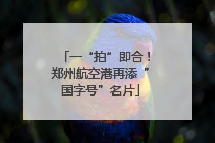一“拍”即合！郑州航空港再添“国字号”名片