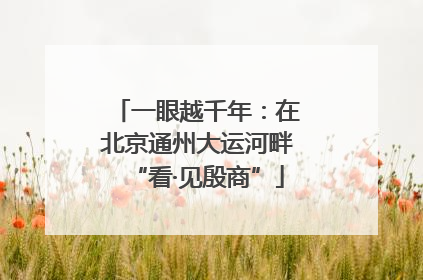 一眼越千年：在北京通州大运河畔“看·见殷商”