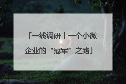 一线调研丨一个小微企业的“冠军”之路