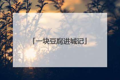一块豆腐进城记