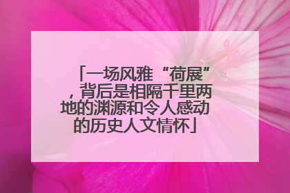一场风雅“荷展”，背后是相隔千里两地的渊源和令人感动的历史人文情怀