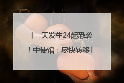一天发生24起恐袭！中使馆：尽快转移