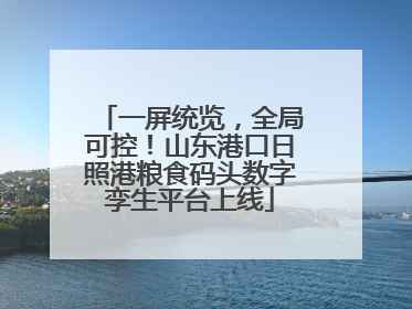 一屏统览，全局可控！山东港口日照港粮食码头数字孪生平台上线