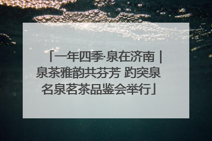 一年四季·泉在济南｜泉茶雅韵共芬芳 趵突泉名泉茗茶品鉴会举行
