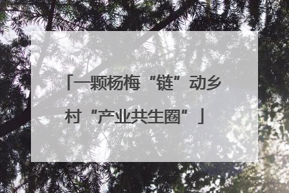 一颗杨梅“链”动乡村“产业共生圈”