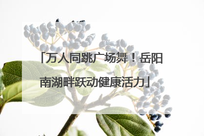 万人同跳广场舞！岳阳南湖畔跃动健康活力