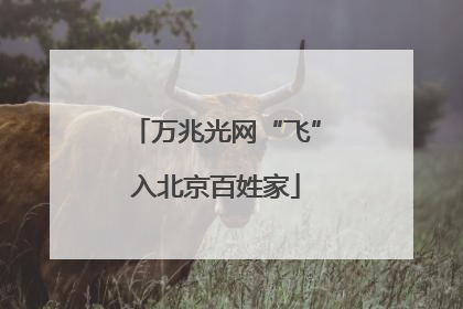 万兆光网“飞”入北京百姓家