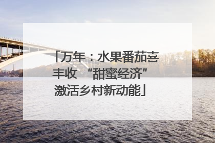 万年：水果番茄喜丰收 “甜蜜经济”激活乡村新动能