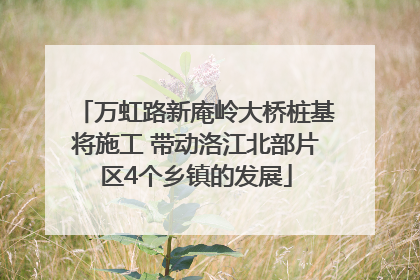 万虹路新庵岭大桥桩基将施工 带动洛江北部片区4个乡镇的发展