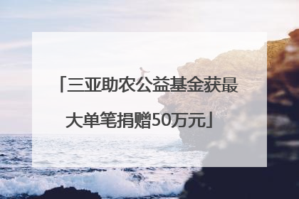 三亚助农公益基金获最大单笔捐赠50万元