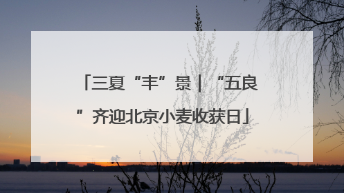 三夏“丰”景｜“五良”齐迎北京小麦收获日