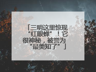 三明这里惊现“红眼蝉”！它很神秘，被誉为“最美知了”