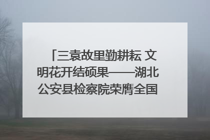 三袁故里勤耕耘 文明花开结硕果——湖北公安县检察院荣膺全国文明单位称号