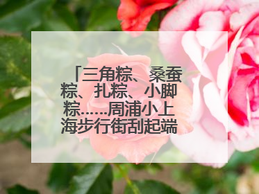 三角粽、桑蚕粽、扎粽、小脚粽……周浦小上海步行街刮起端午浓浓民俗风
