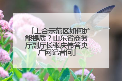 上合示范区如何扩能提质？山东省商务厅副厅长张庆伟答央广网记者问