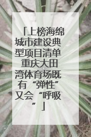 上榜海绵城市建设典型项目清单 重庆大田湾体育场既有“弹性”又会“呼吸”